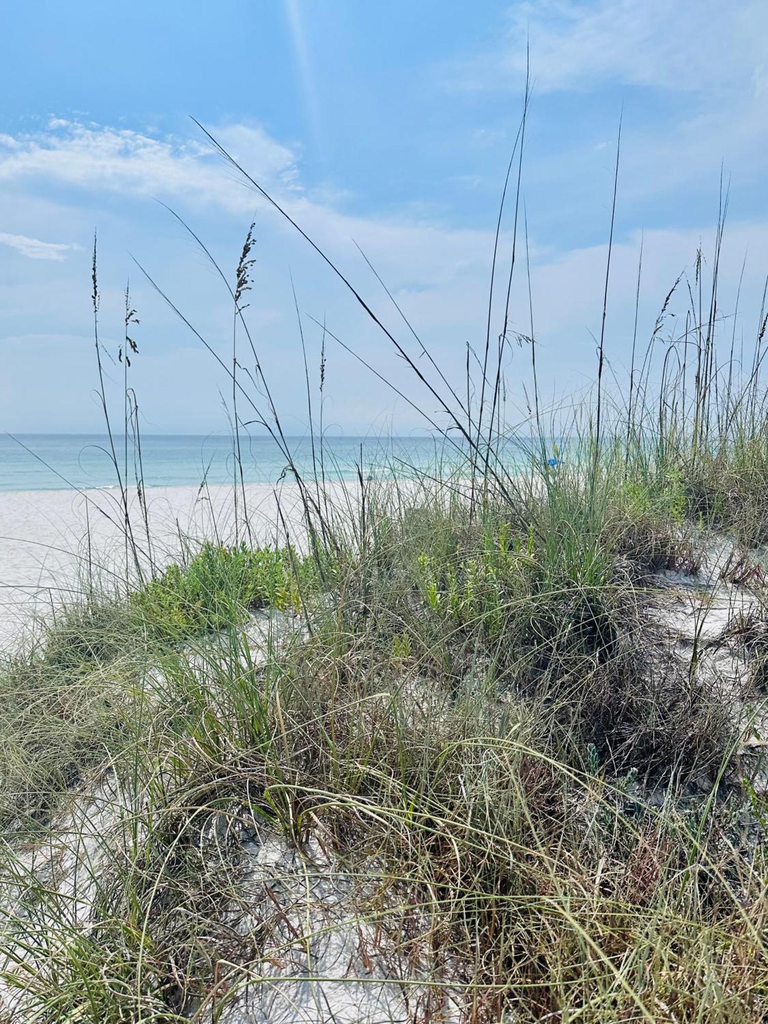 Sea Salt Vacation Home, Private Pool - Walk To Beach Panama City Beach Exteriör bild